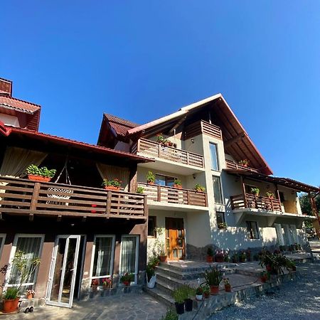 Vila Sorina Borşa Exteriör bild
