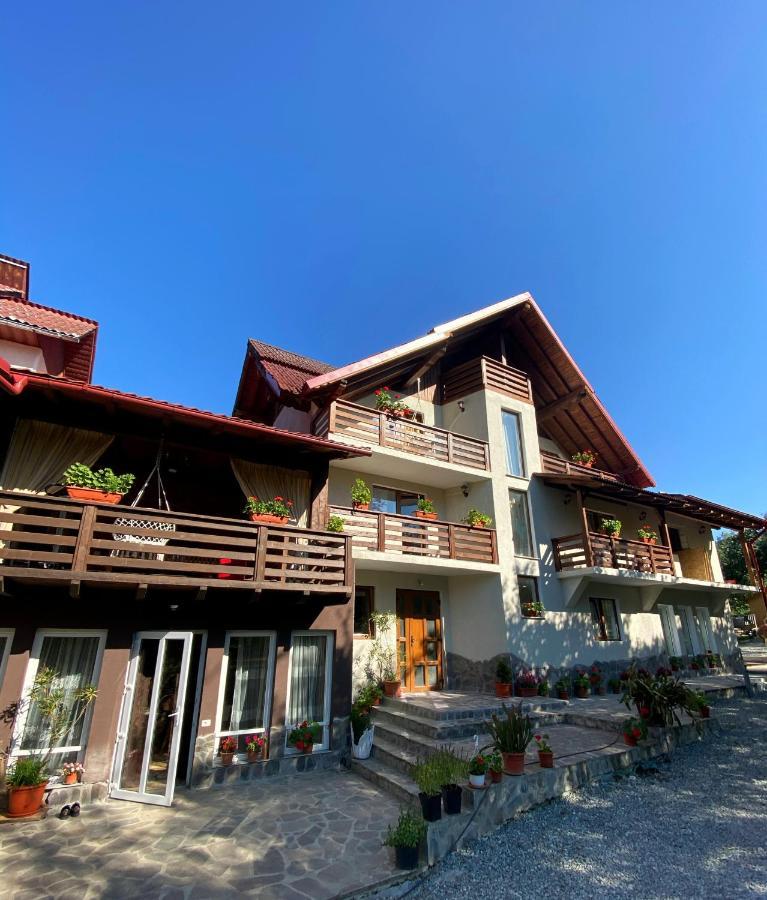 Vila Sorina Borşa Exteriör bild