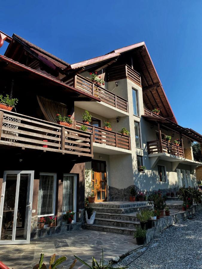 Vila Sorina Borşa Exteriör bild