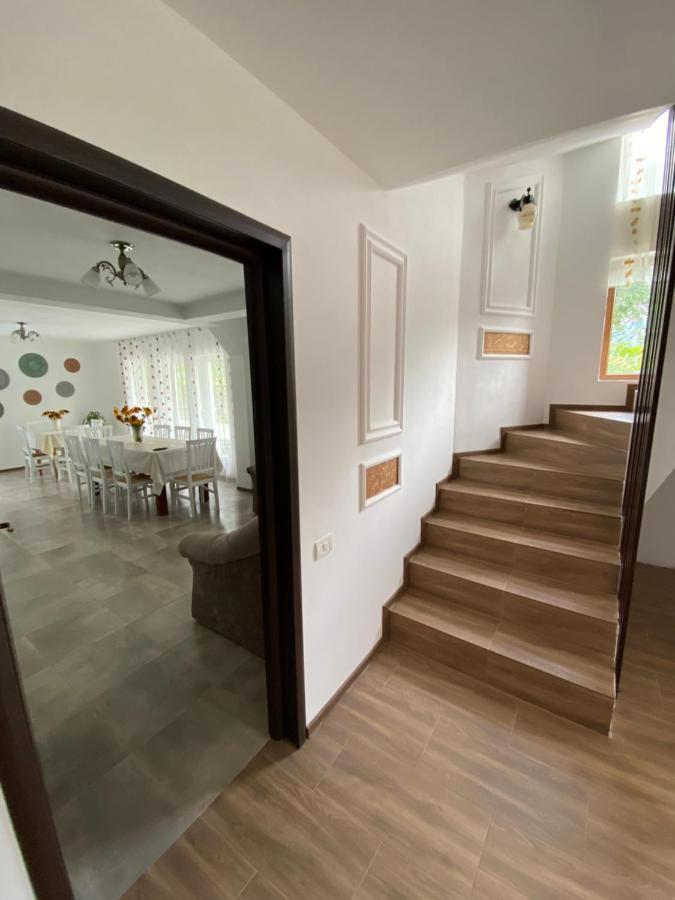 Vila Sorina Borşa Exteriör bild