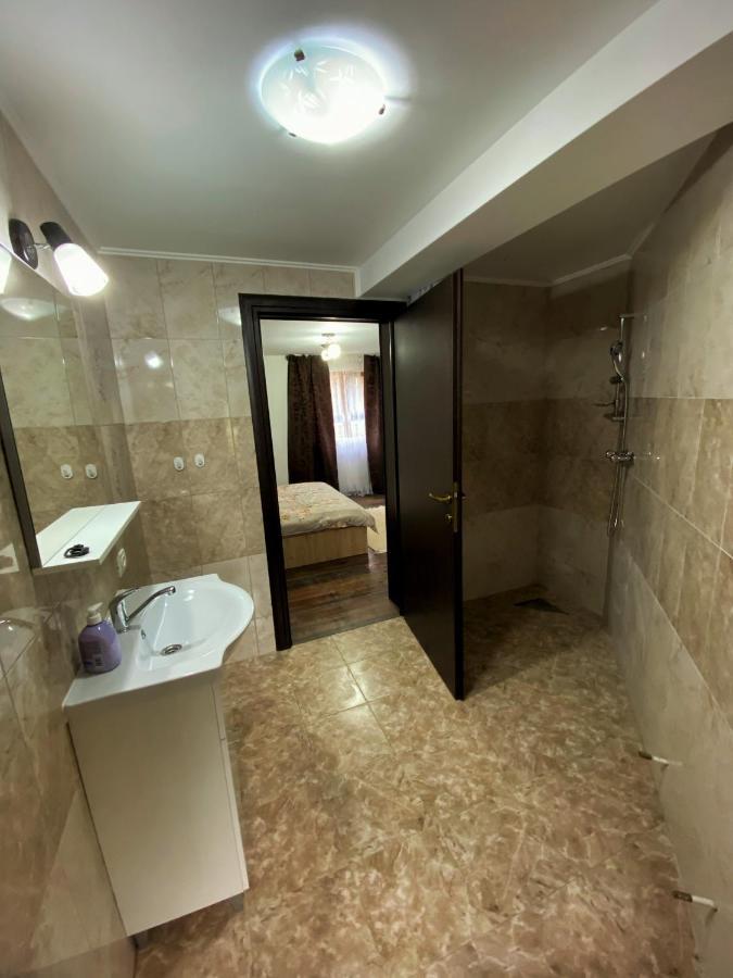 Vila Sorina Borşa Exteriör bild