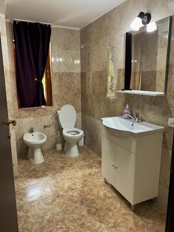 Vila Sorina Borşa Exteriör bild