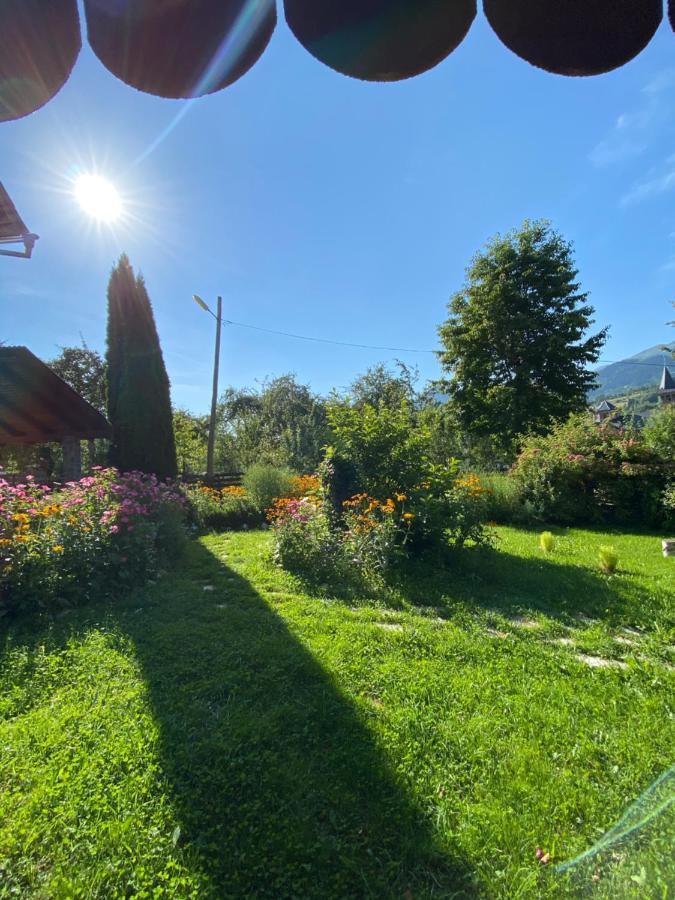 Vila Sorina Borşa Exteriör bild