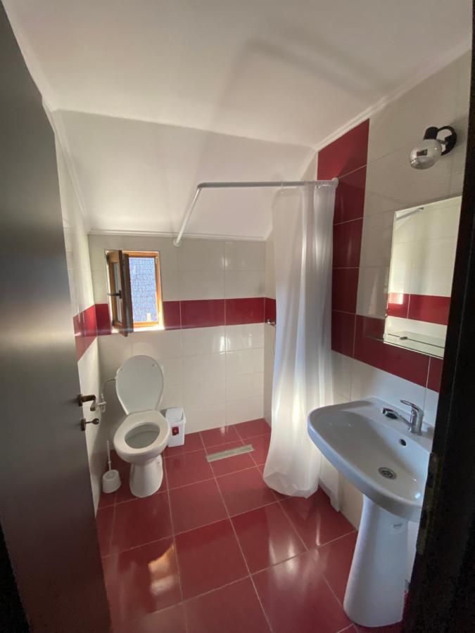 Vila Sorina Borşa Exteriör bild