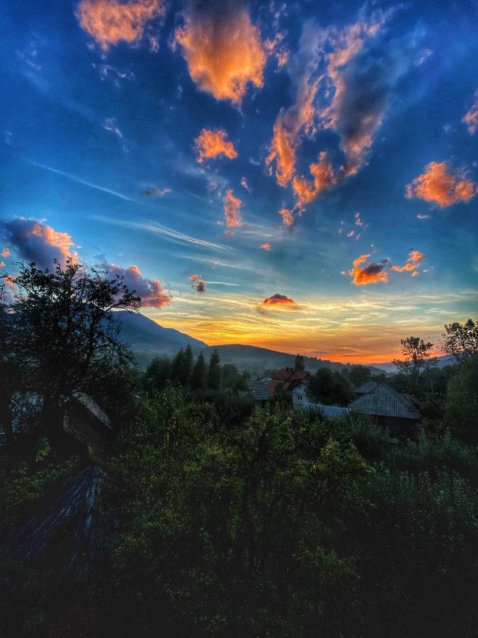 Vila Sorina Borşa Exteriör bild