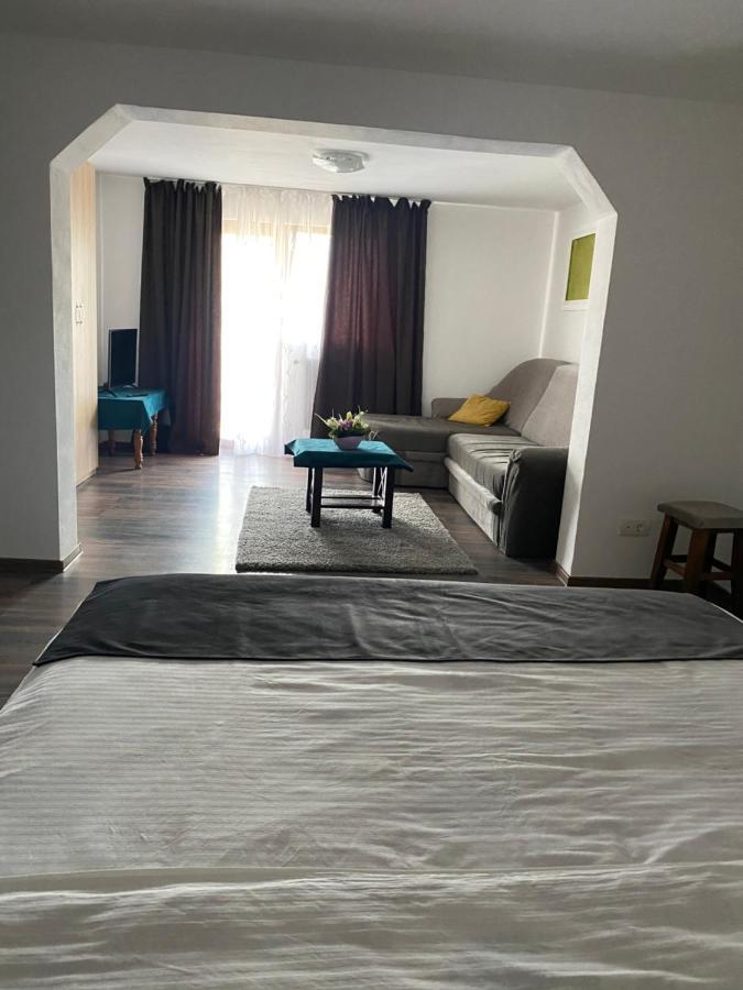 Vila Sorina Borşa Exteriör bild