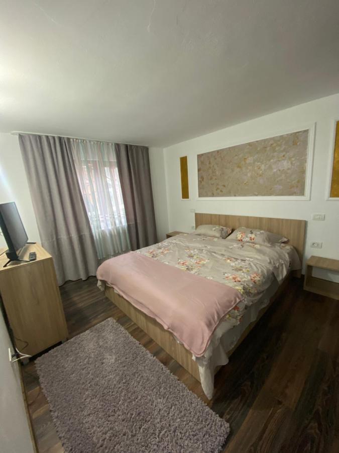 Vila Sorina Borşa Exteriör bild