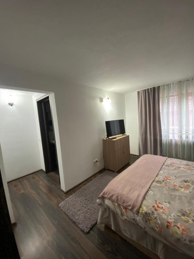 Vila Sorina Borşa Exteriör bild