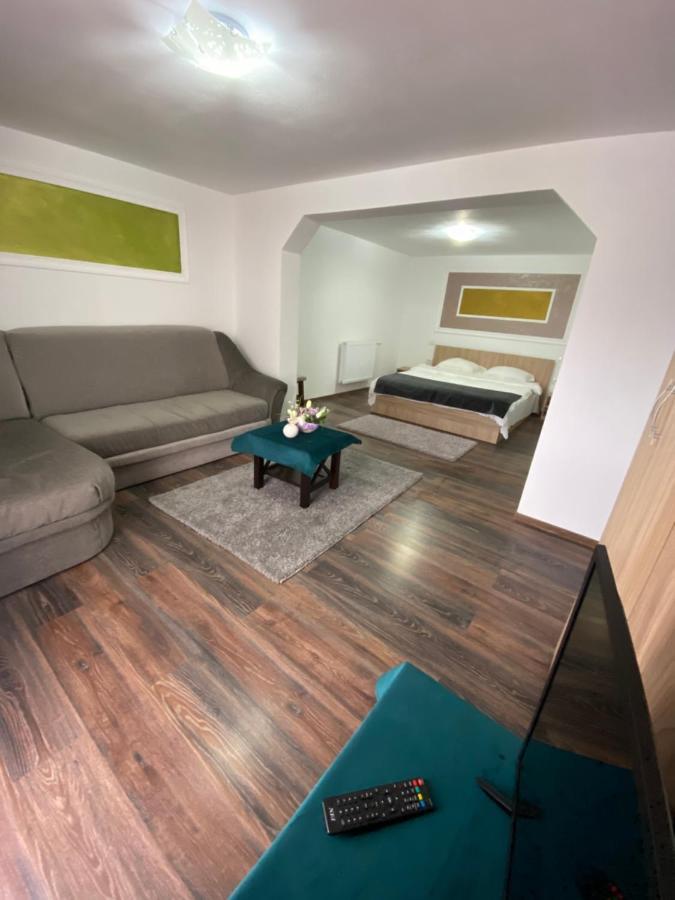 Vila Sorina Borşa Exteriör bild