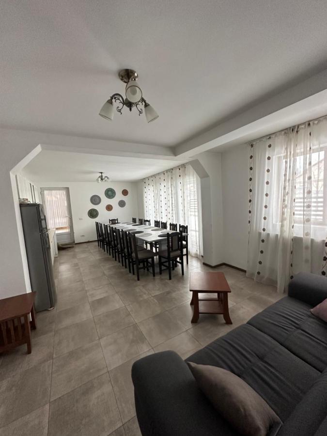 Vila Sorina Borşa Exteriör bild