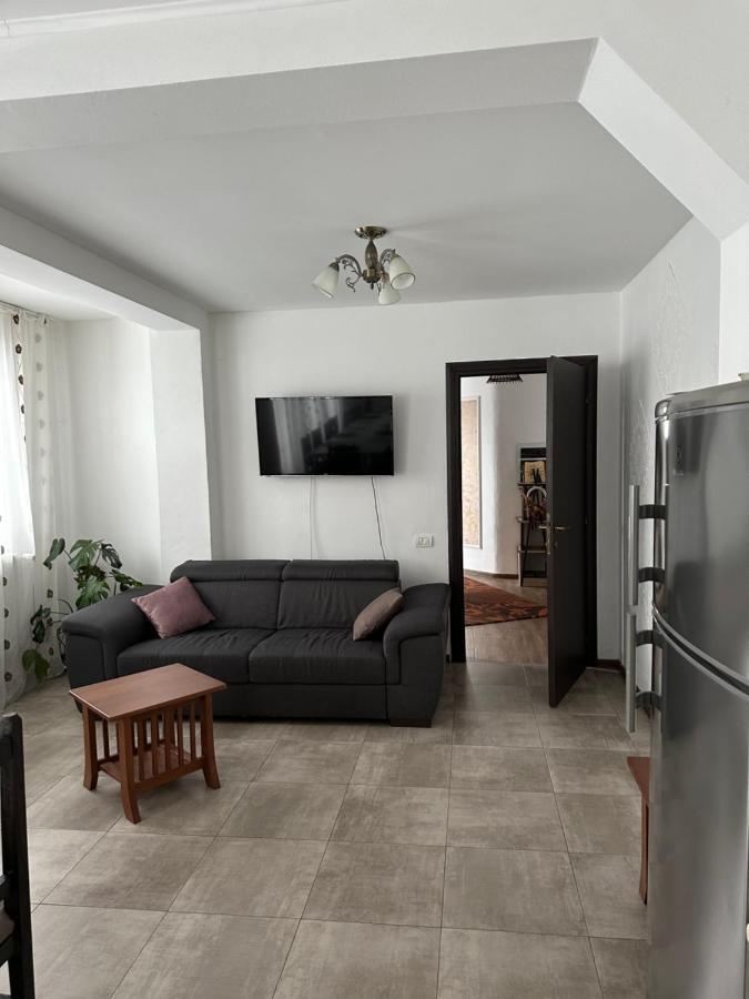 Vila Sorina Borşa Exteriör bild
